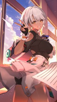 Honkai (Series) Rule 34 Image