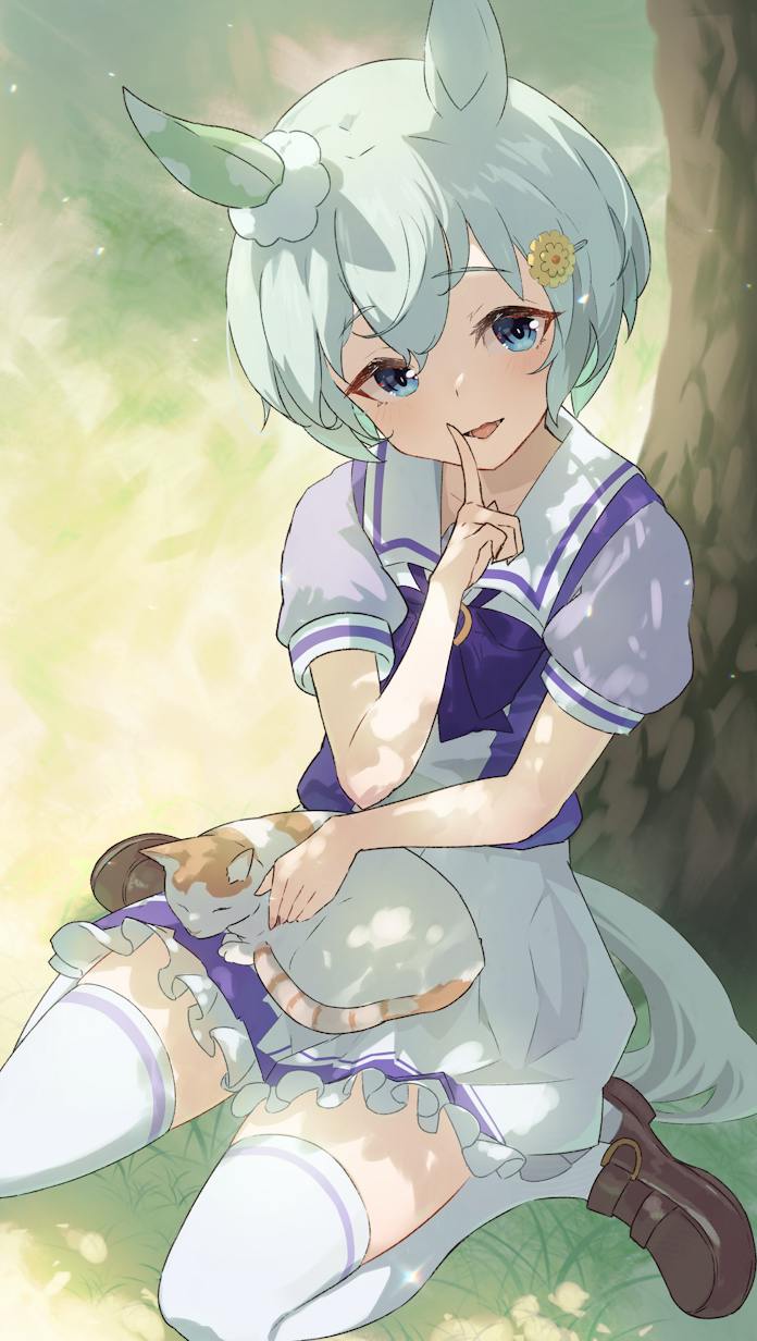 Seiun Sky (Umamusume) Rule 34 Image