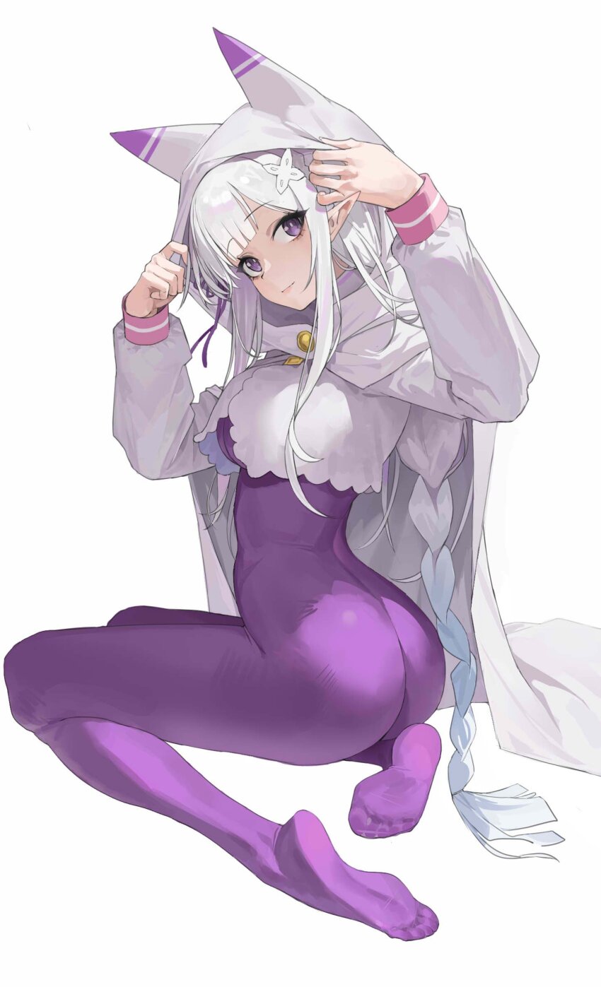 Emilia (Re:Zero) Rule 34 Image