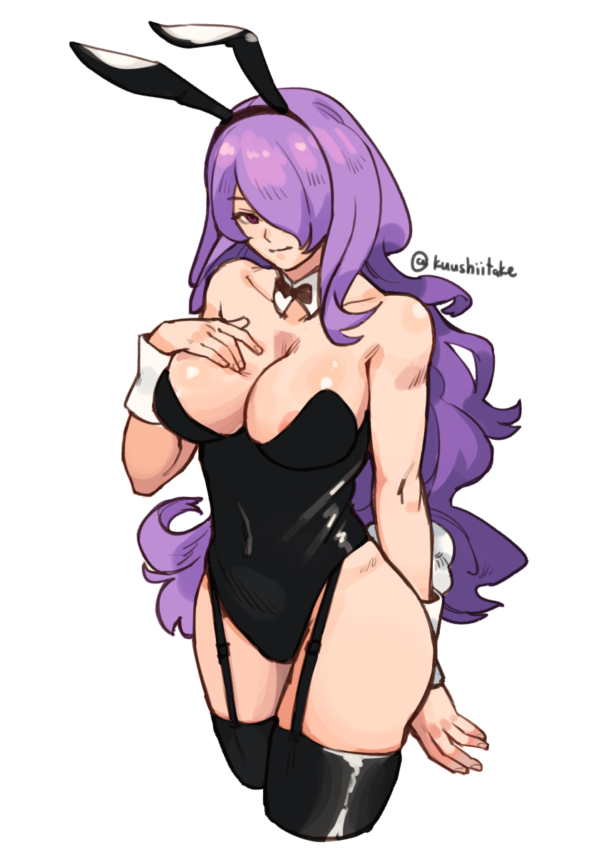 Camilla (Fire Emblem) Rule 34 Image