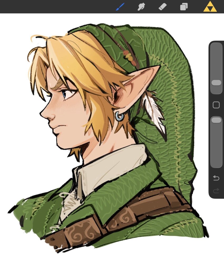 Link (Nintendo) Rule 34 Image
