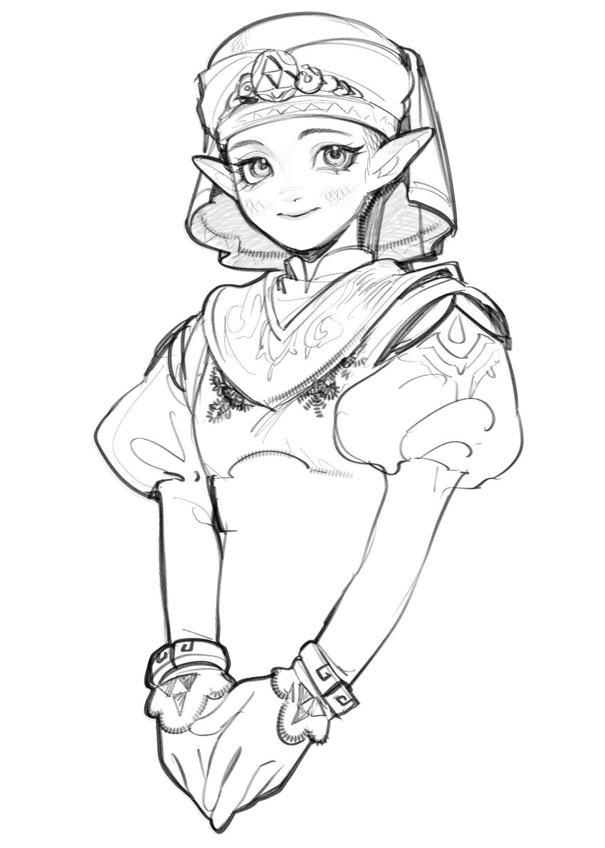 Princess Zelda (Nintendo) Rule 34 Image