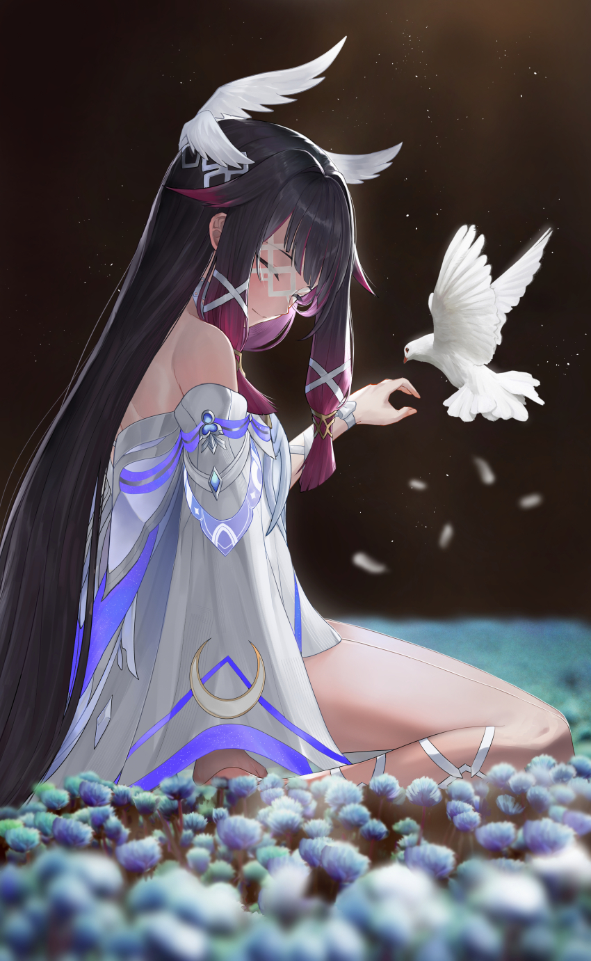 Columbina (Genshin Impact) Rule 34 Image