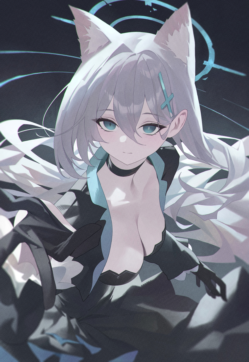 Shiroko Terror (Blue Archive) Rule 34 Image