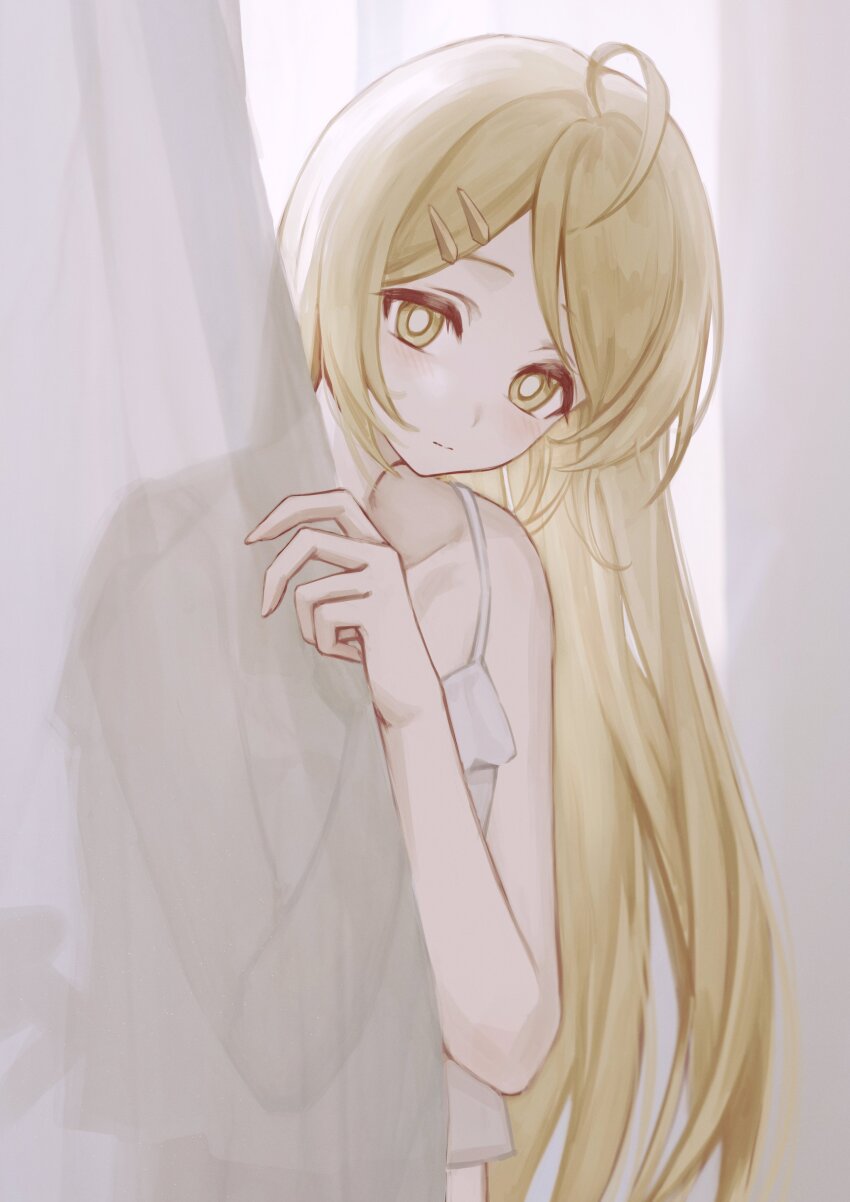 Phoenix Reffaella (Zenless Zone Zero) Rule 34 Image