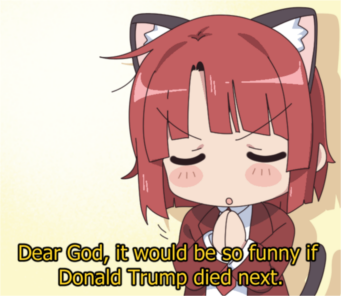 Donald Trump (Pinterest) Rule 34 Image