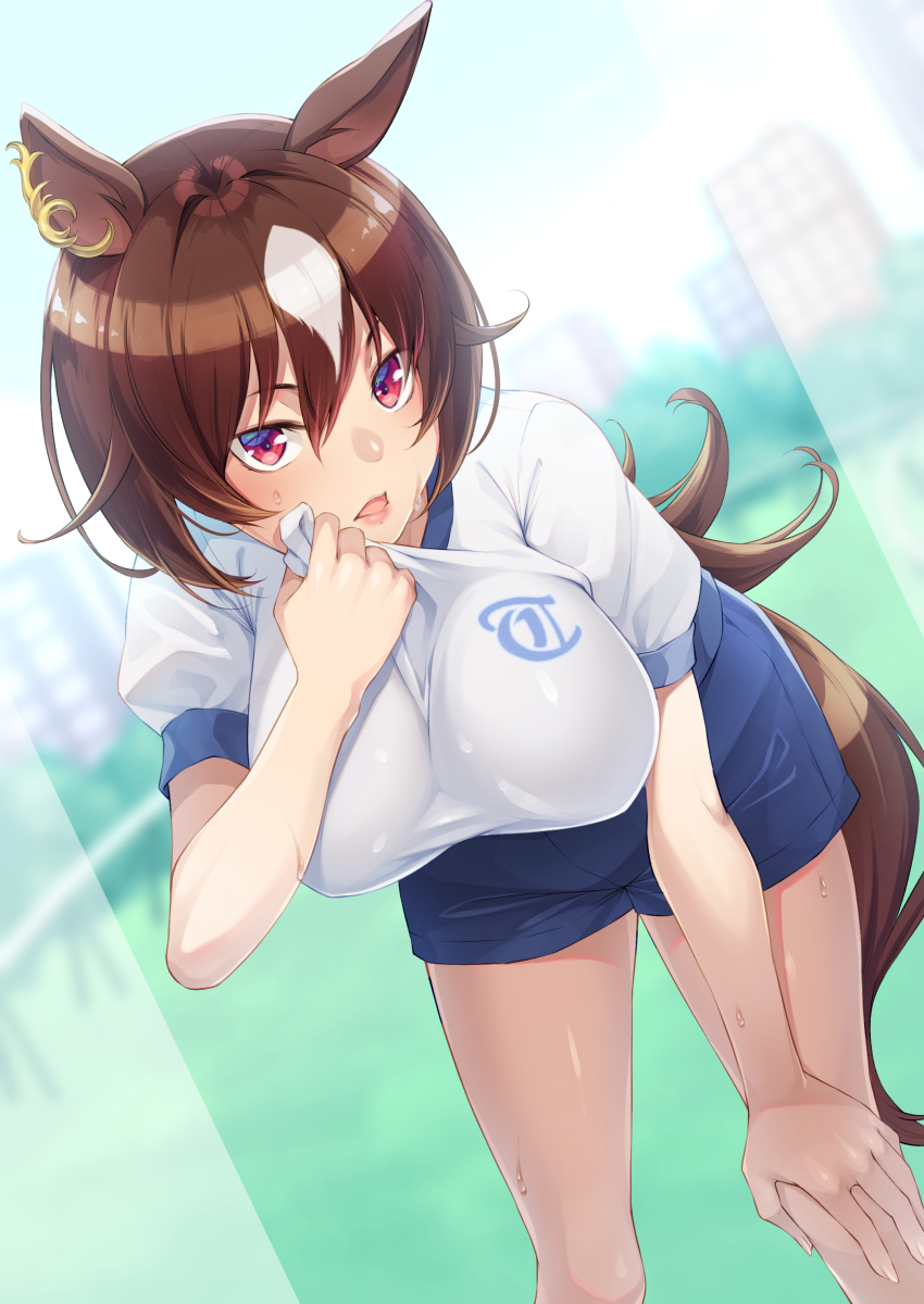 Sirius Symboli (Umamusume) Rule 34 Image