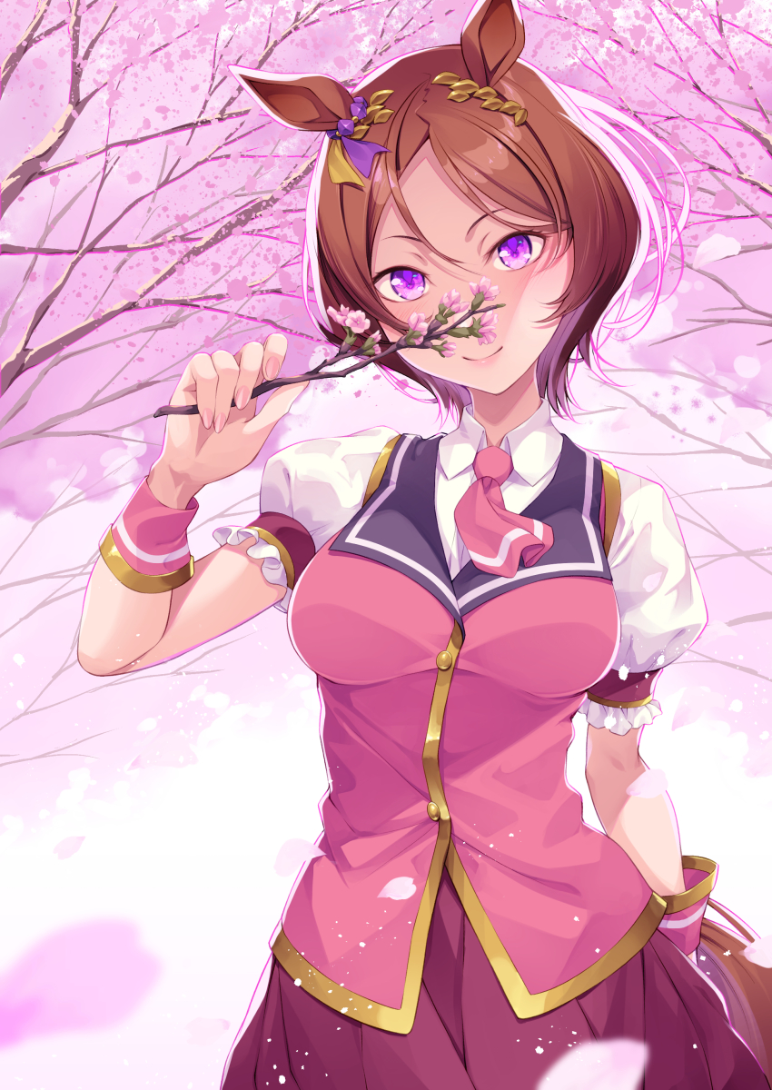 Sakura Laurel (Umamusume) Rule 34 Image