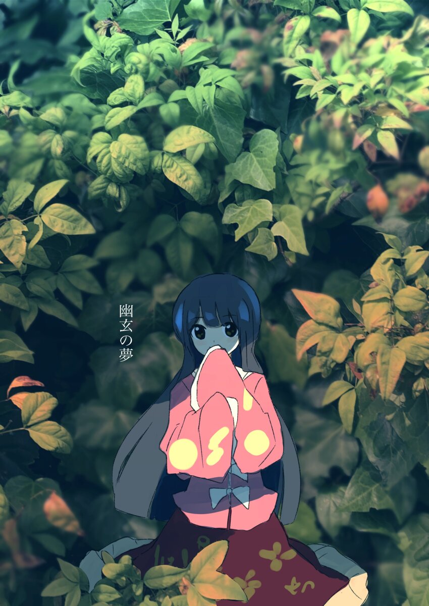 Houraisan Kaguya (Touhou) Rule 34 Image