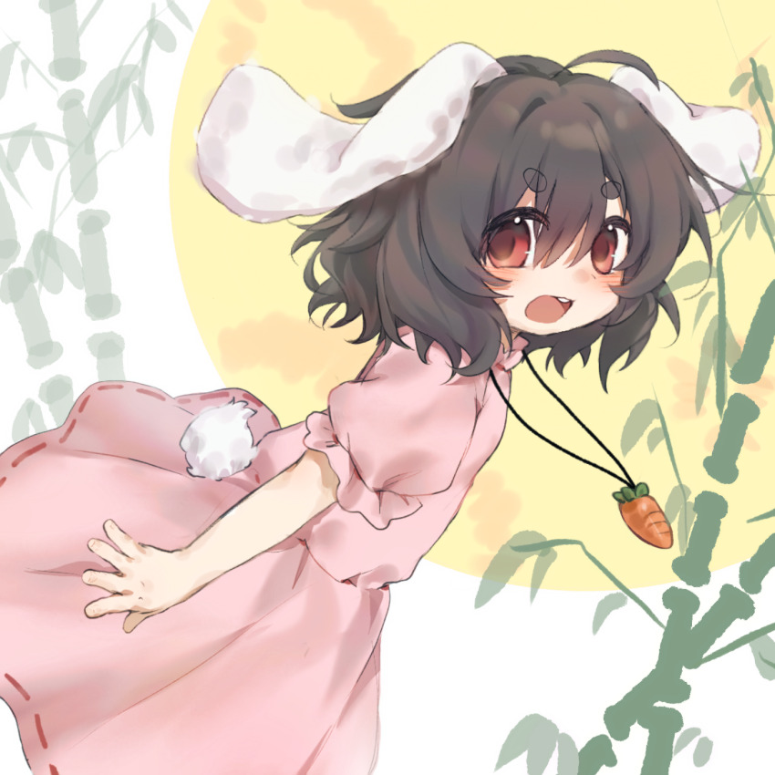 Inaba Tewi (Touhou) Rule 34 Image