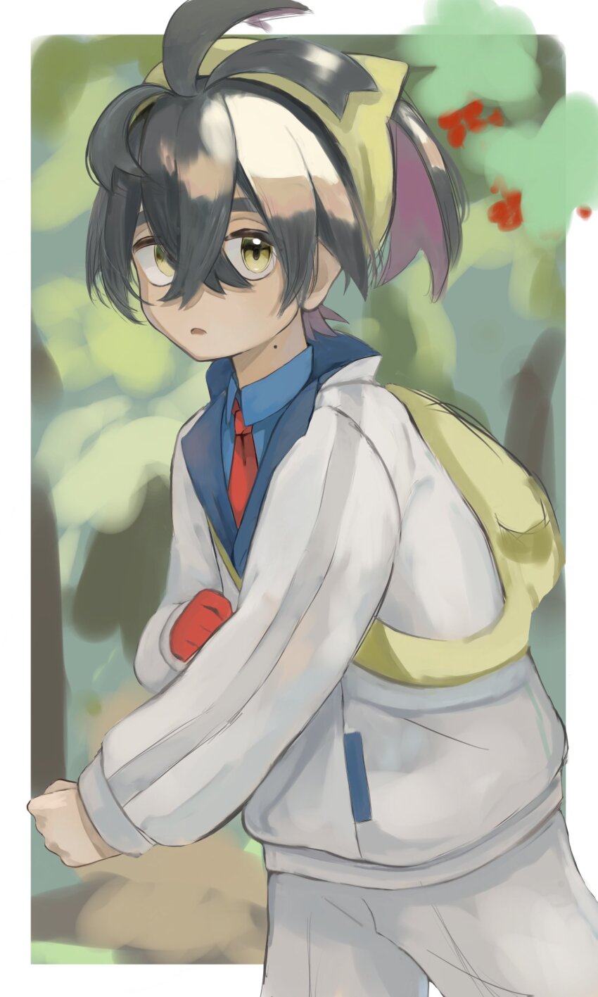 Kieran (Pokemon) Rule 34 Image