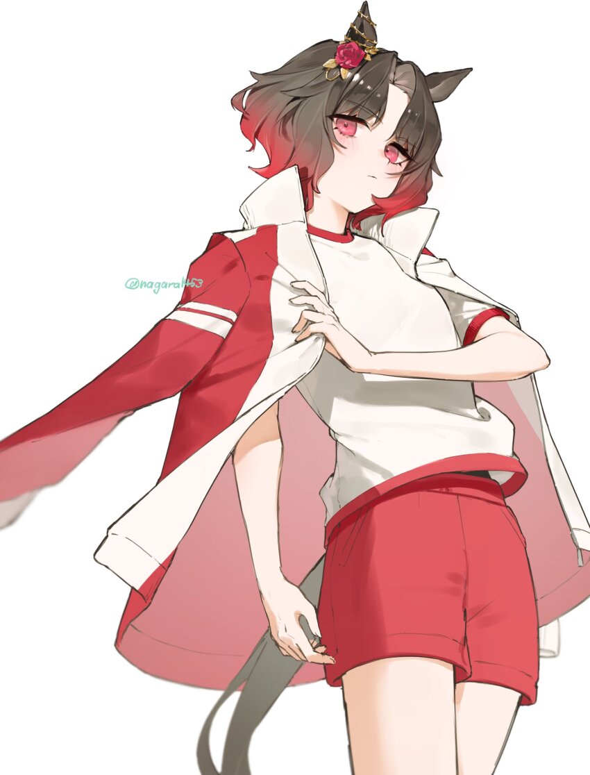 Rose Kingdom (Umamusume) Rule 34 Image