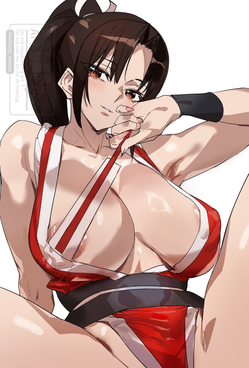 Street Fighter Rule 34 Image