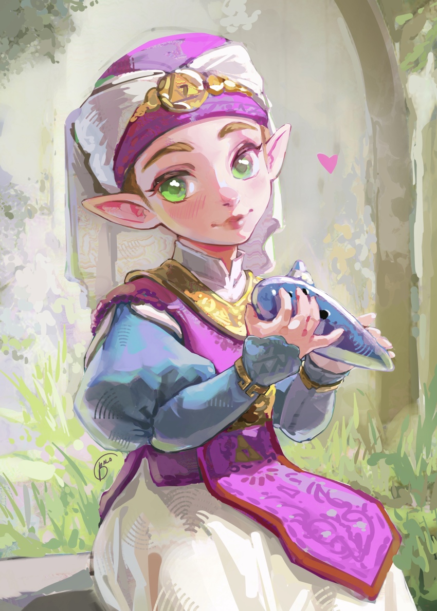 Princess Zelda (Nintendo) Rule 34 Image