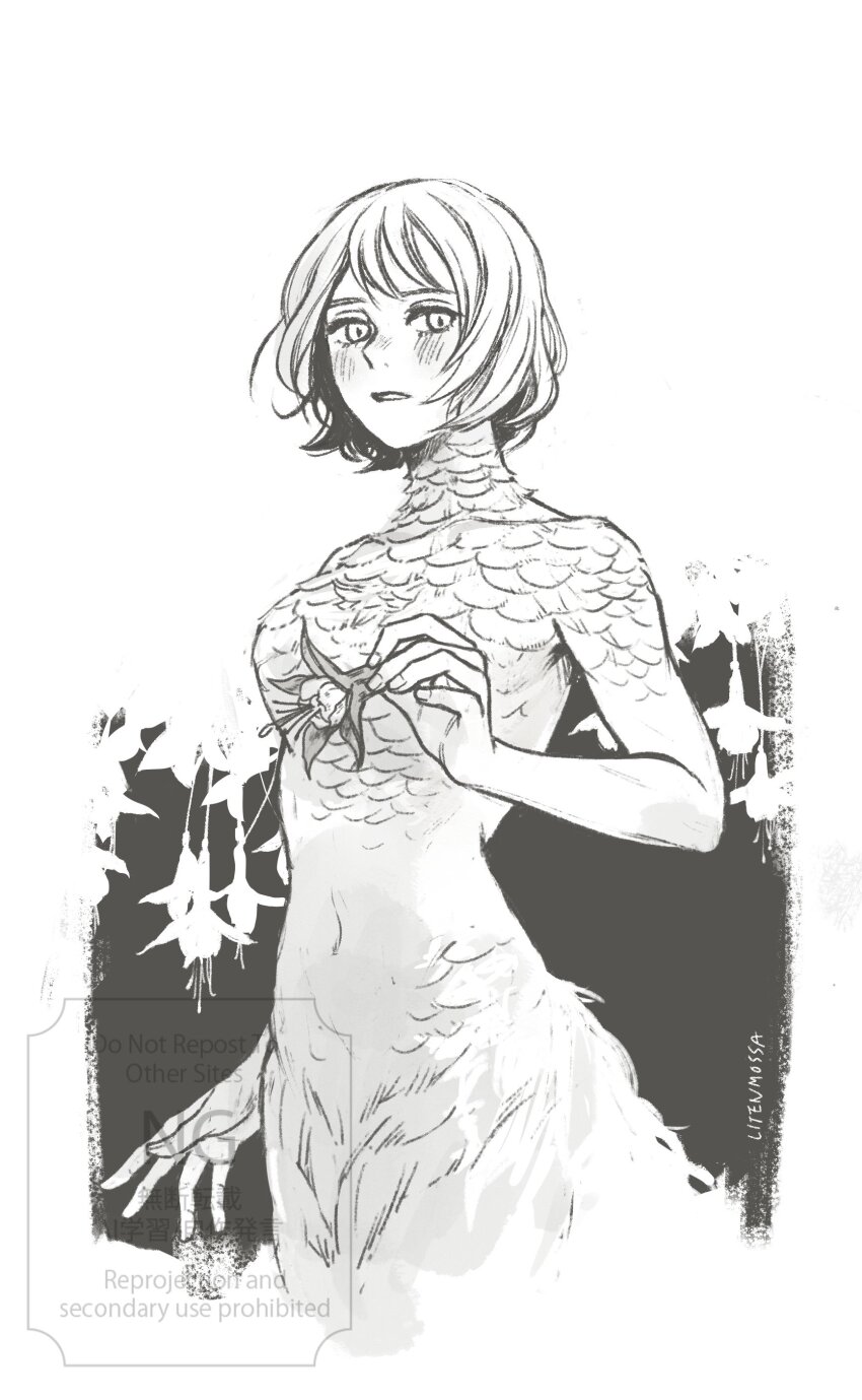 Falin Touden (Dungeon Meshi) Rule 34 Image