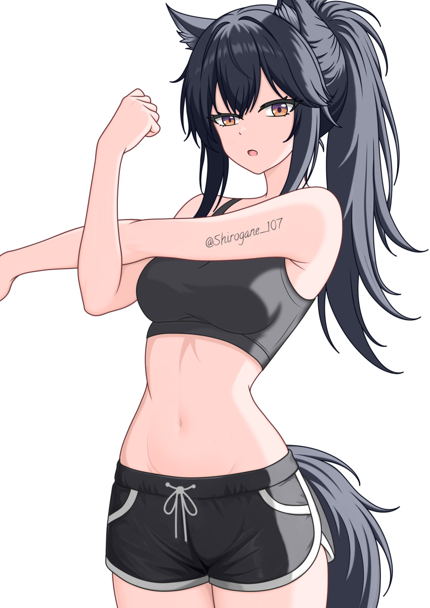 Texas (Arknights) Rule 34 Image