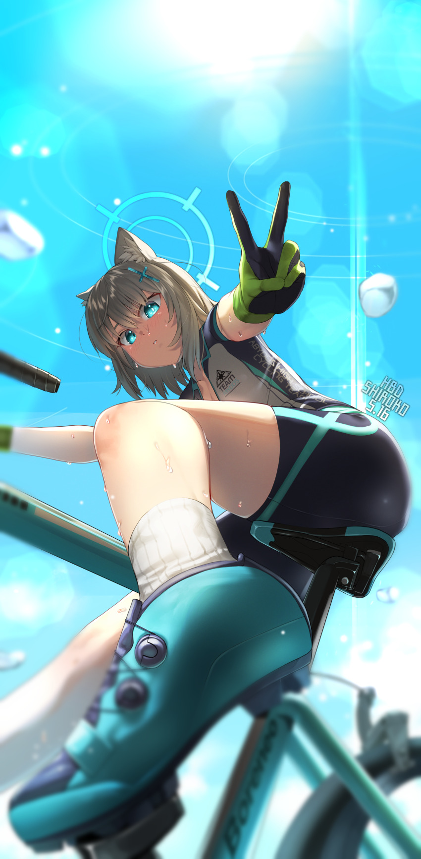 Shiroko (Blue Archive) Rule 34 Image