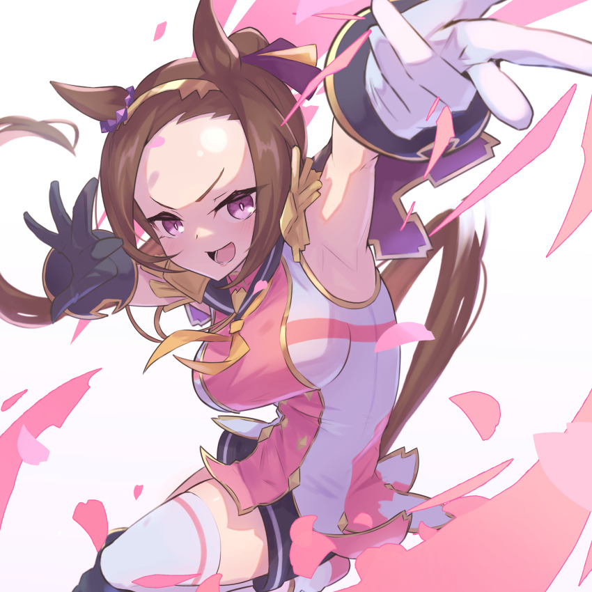 Sakura Bakushin O (Blossom In Learning) (Umamusume) Rule 34 Image