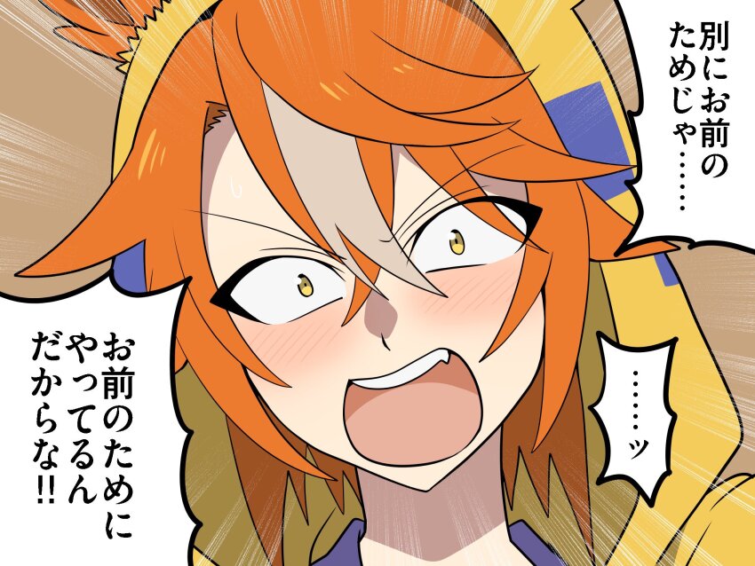 Dicta Striker (Umamusume) Rule 34 Image