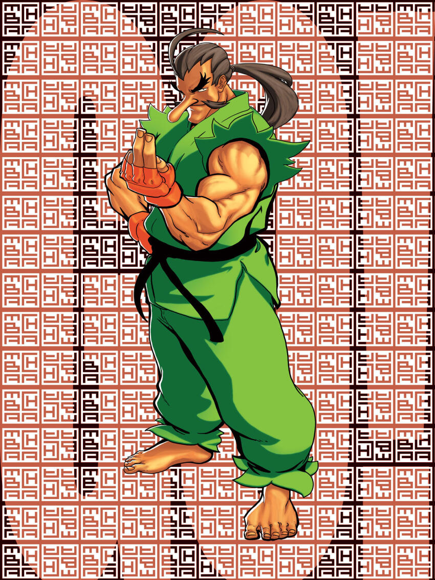 Street Fighter Rule 34 Image