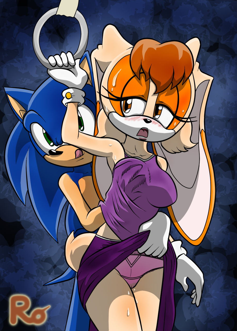 Sonic The Hedgehog (Sonic (Series)) Rule 34 Image