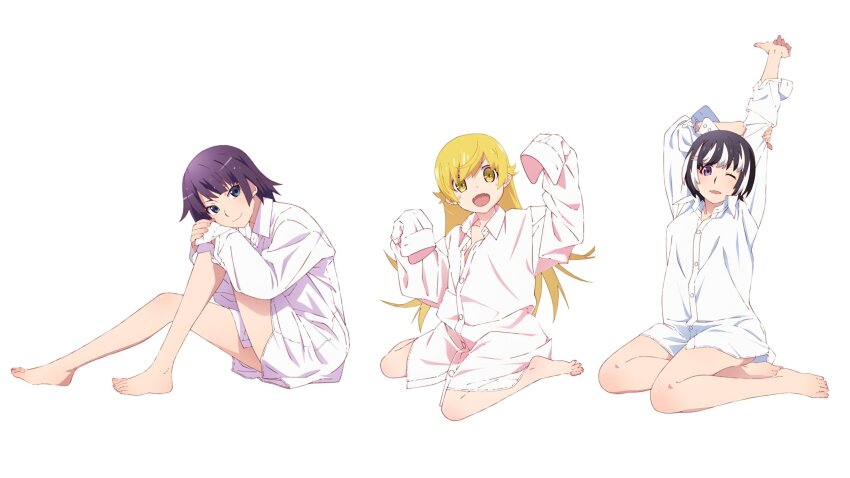 Hanekawa Tsubasa (Monogatari (Series)) Rule 34 Image