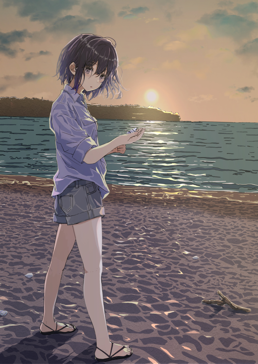 Shell (Original) Rule 34 Image