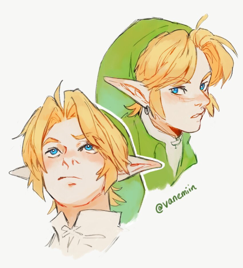 Link (Nintendo) Rule 34 Image