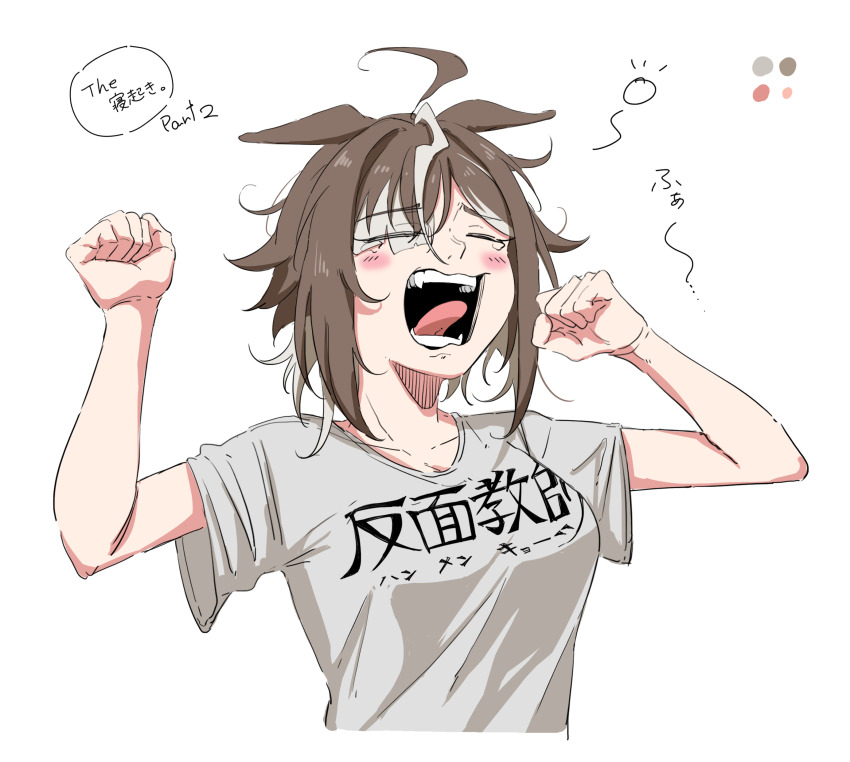 Rulership (Umamusume) Rule 34 Image