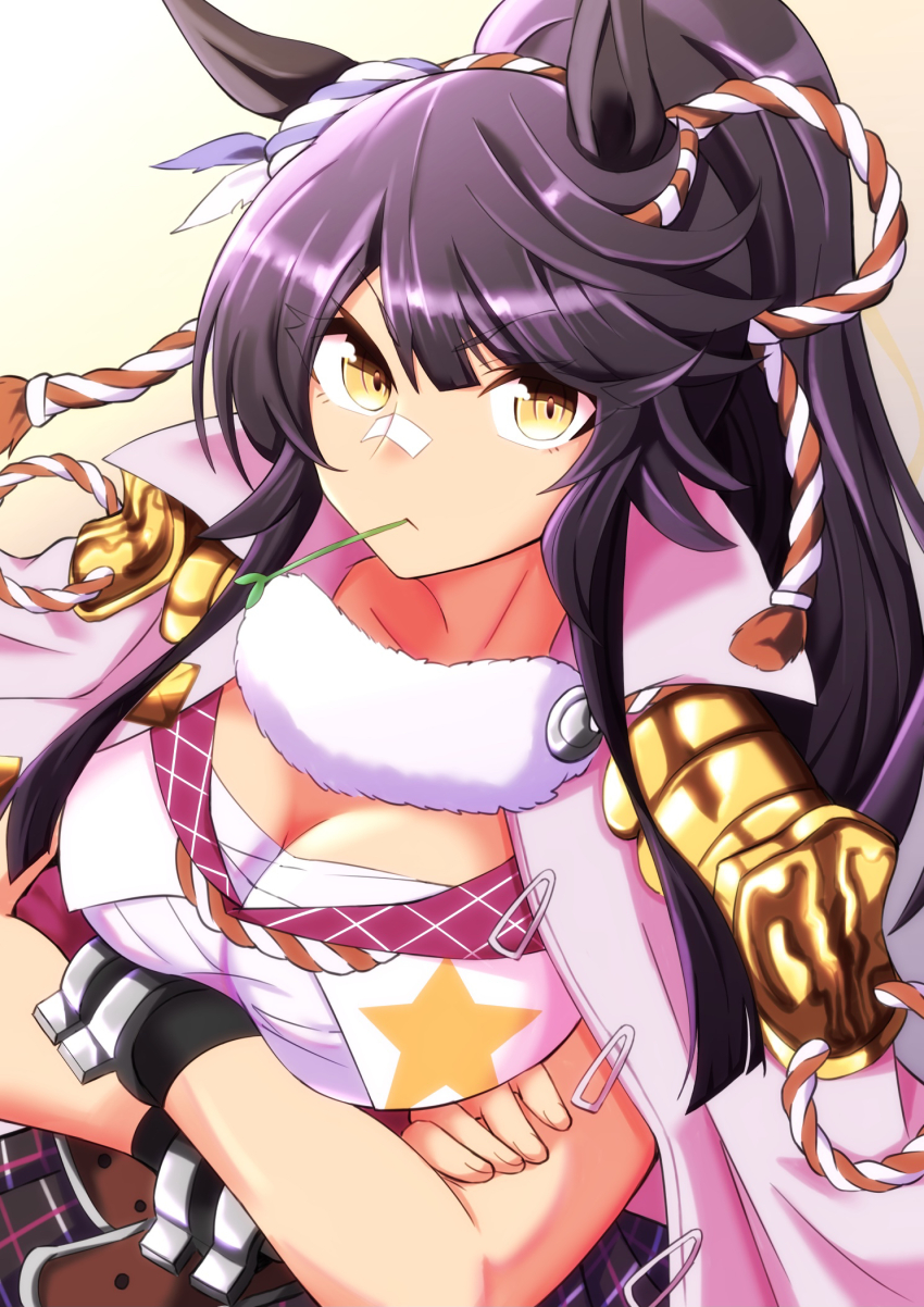 Narita Brian (Umamusume) Rule 34 Image