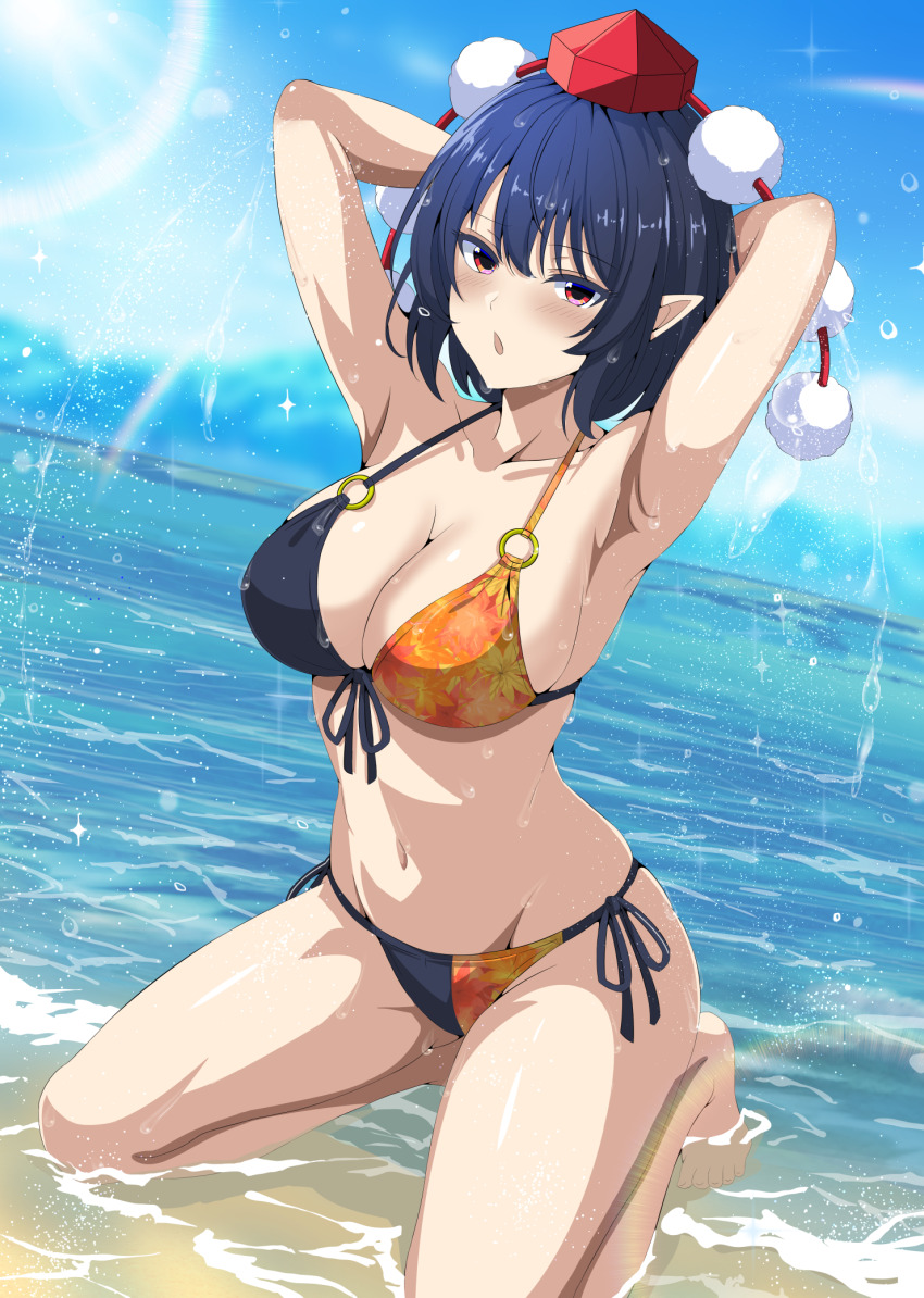 Shameimaru Aya (Touhou) Rule 34 Image