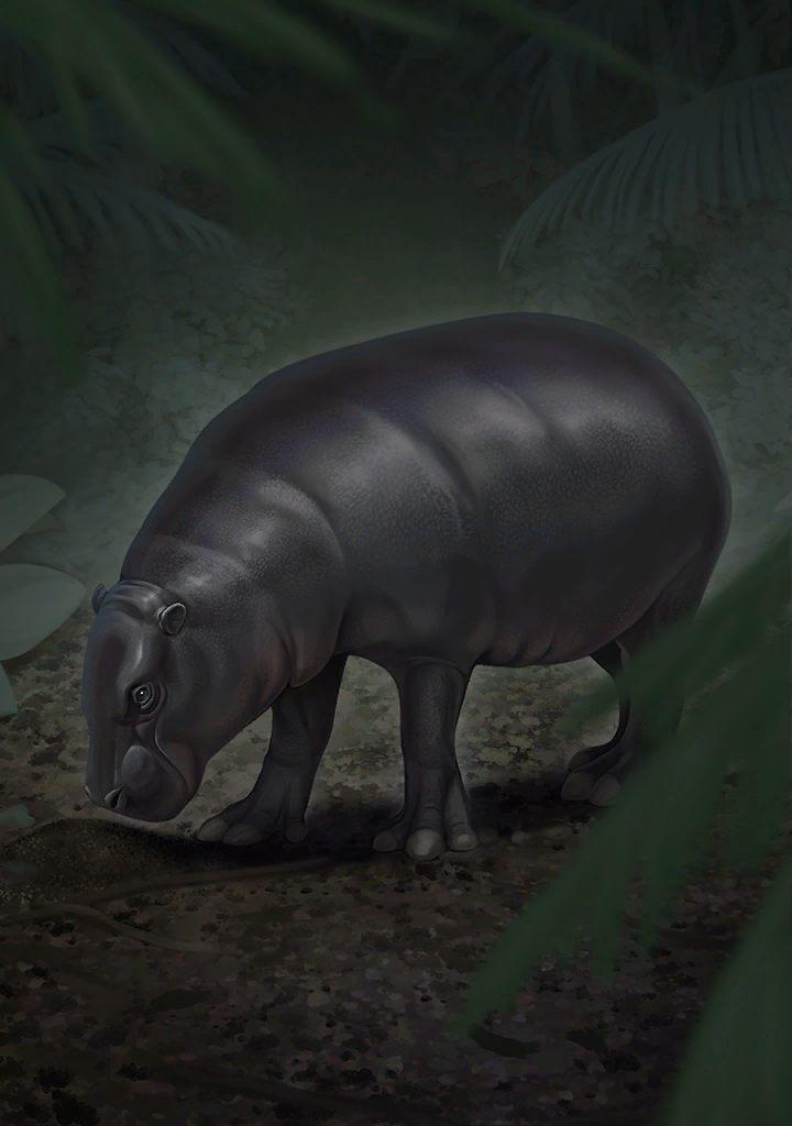 Kemono Friends Rule 34 Image