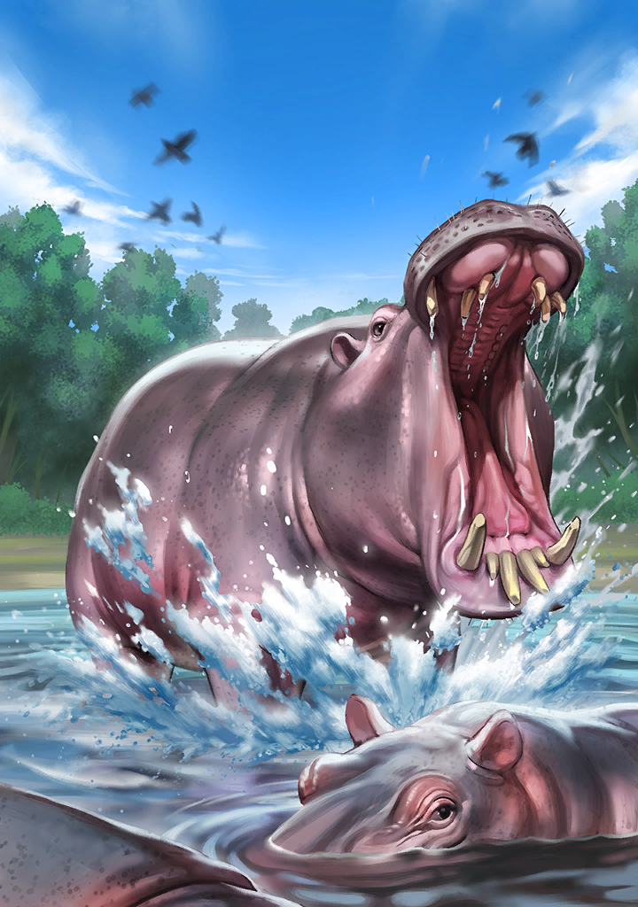 Hippopotamus (Kemono Friends) Rule 34 Image