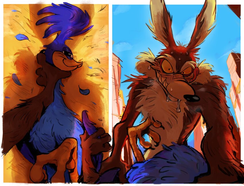 Road Runner (Looney Tunes) Rule 34 Image