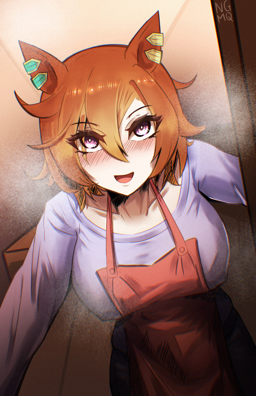T.M. Opera O (Umamusume) Rule 34 Image