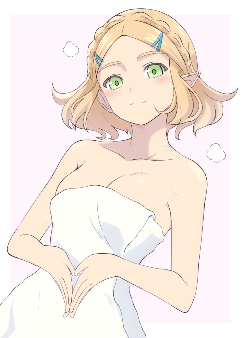 Princess Zelda (Nintendo) Rule 34 Image