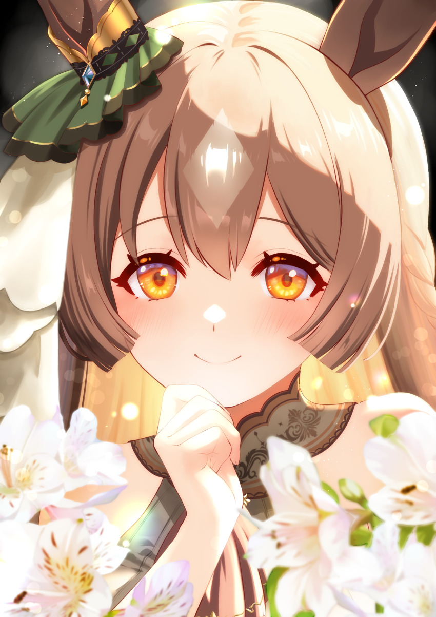 Satono Diamond (Umamusume) Rule 34 Image