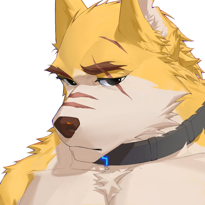 Cooper Krager (Remember The Flowers) Rule 34 Image