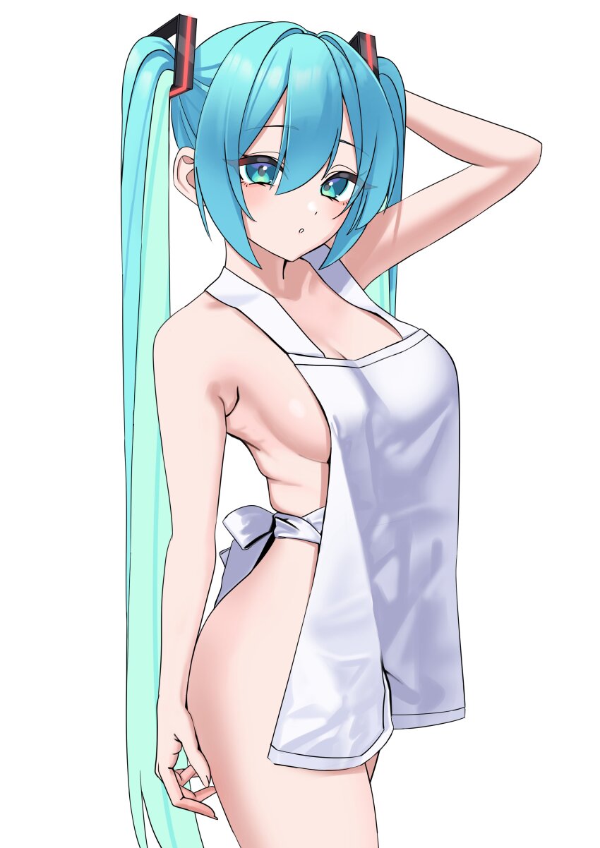 Hatsune Miku (Vocaloid) Rule 34 Image