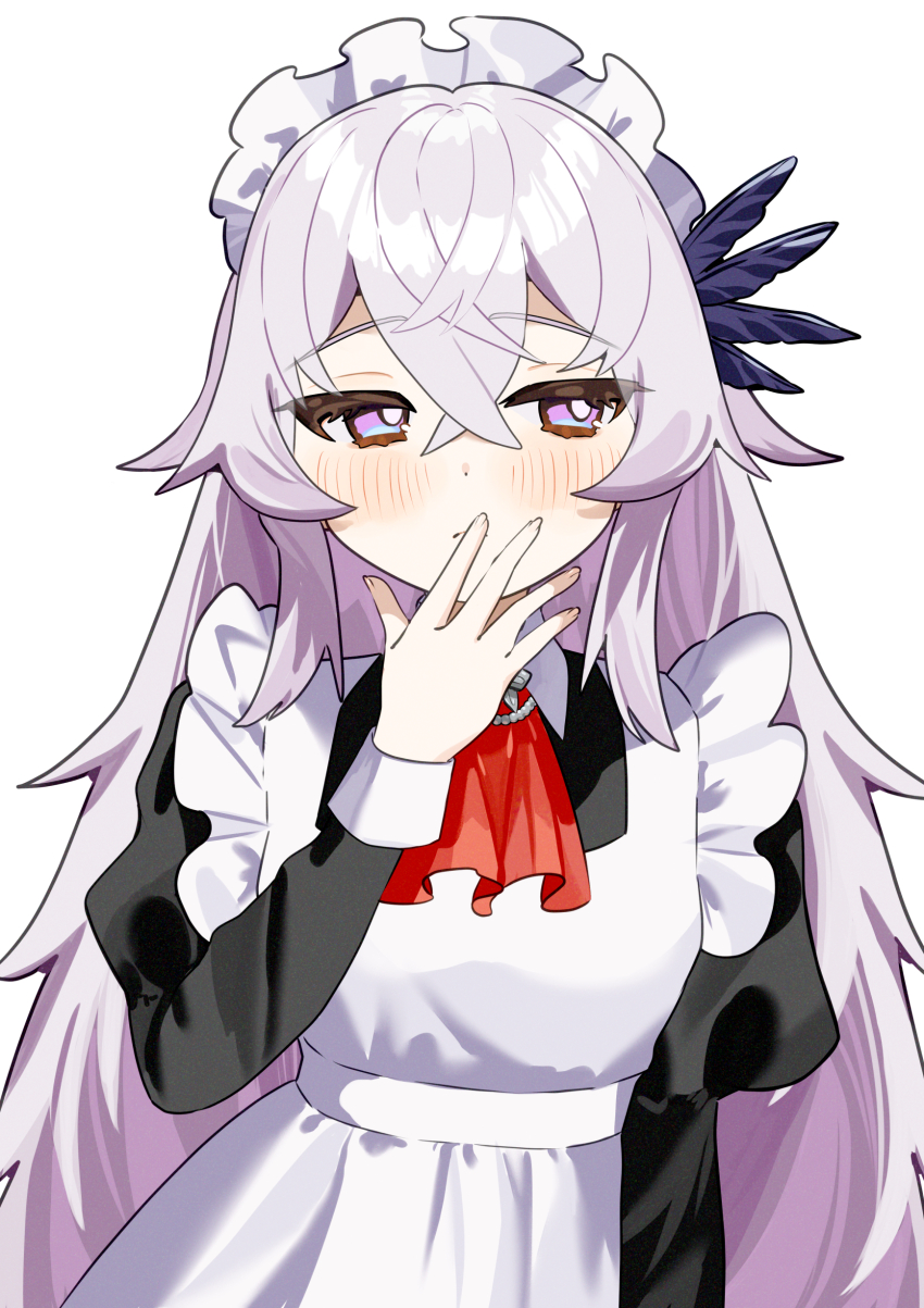 Fate/Grand Order Rule 34 Image