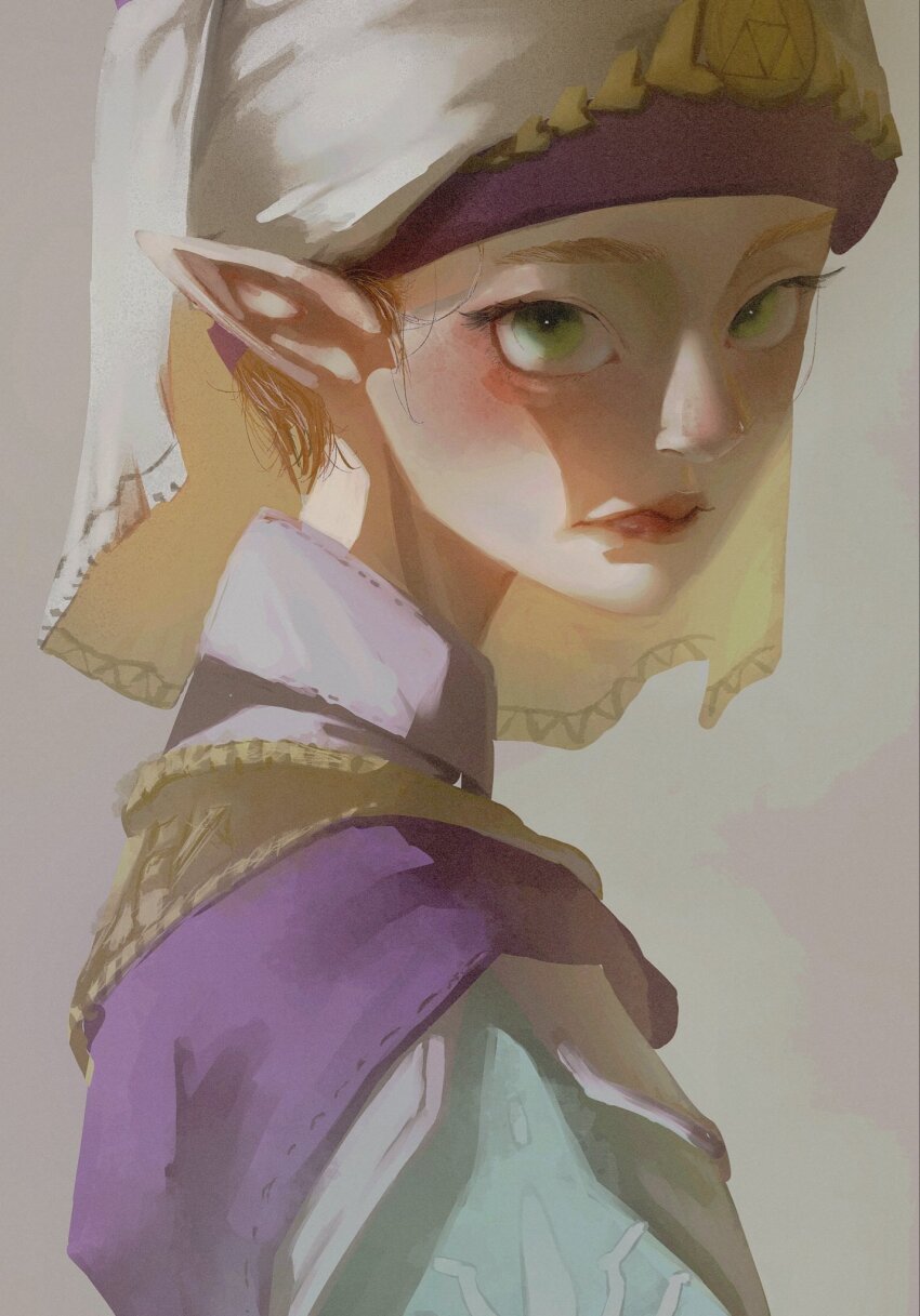 Princess Zelda (Nintendo) Rule 34 Image