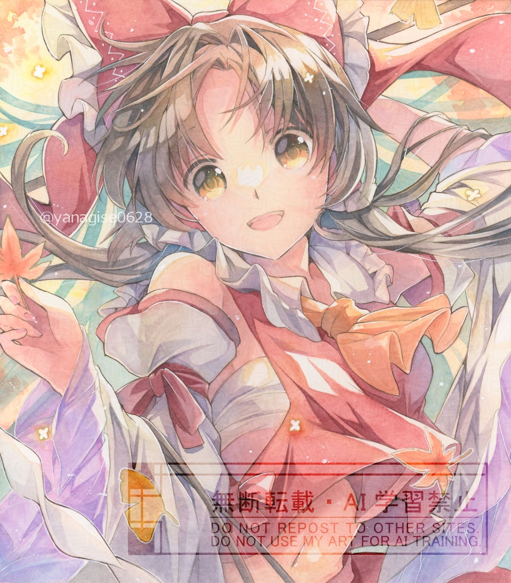 Hakurei Reimu (Touhou) Rule 34 Image