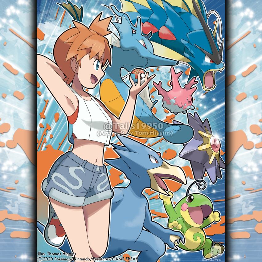Corsola (Nintendo) Rule 34 Image