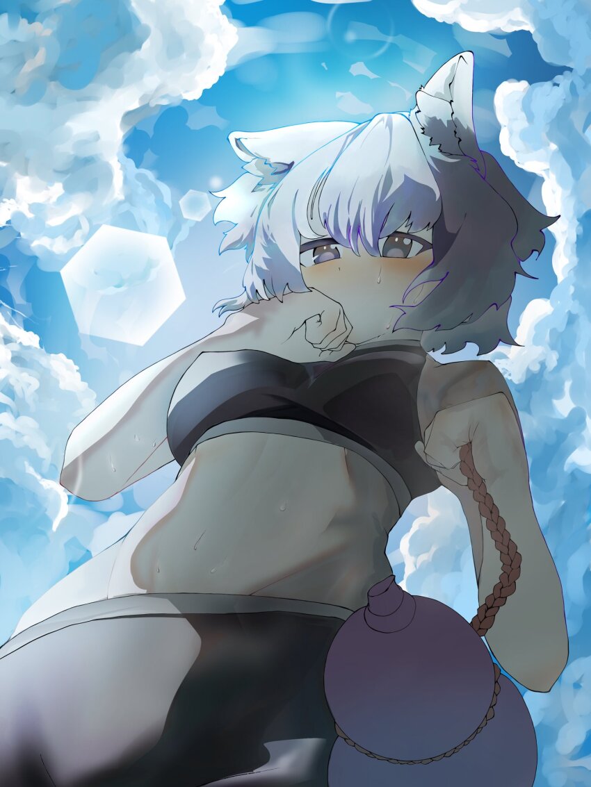 Inubashiri Momiji (Touhou) Rule 34 Image