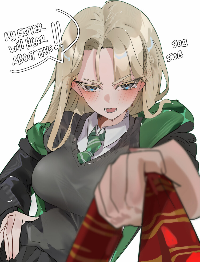 Draco Malfoy (Harry Potter (Series)) Rule 34 Image