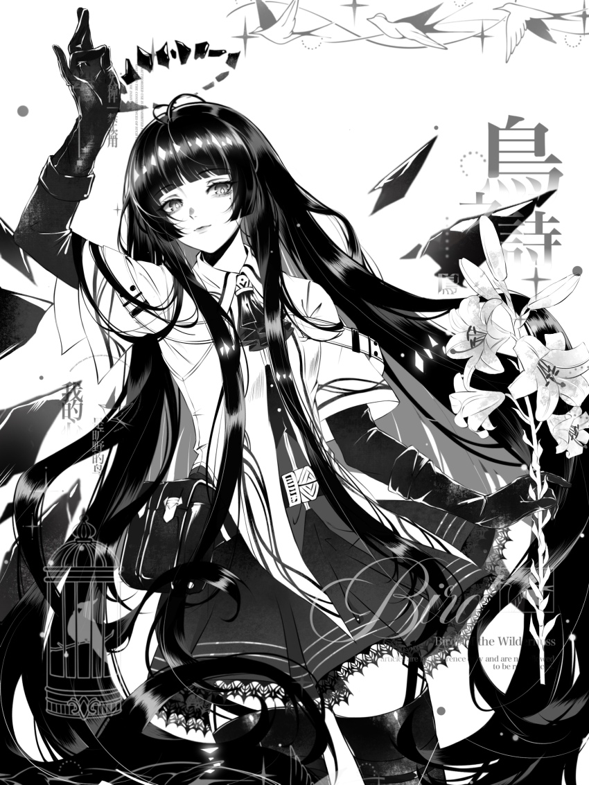 Virtuosa (Arknights) Rule 34 Image