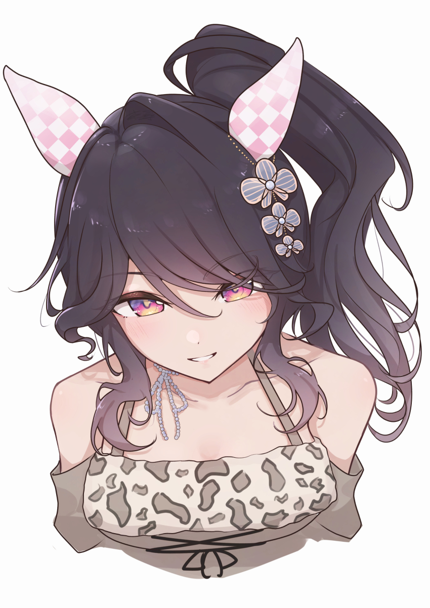 Phalaenopsis (Umamusume) Rule 34 Image