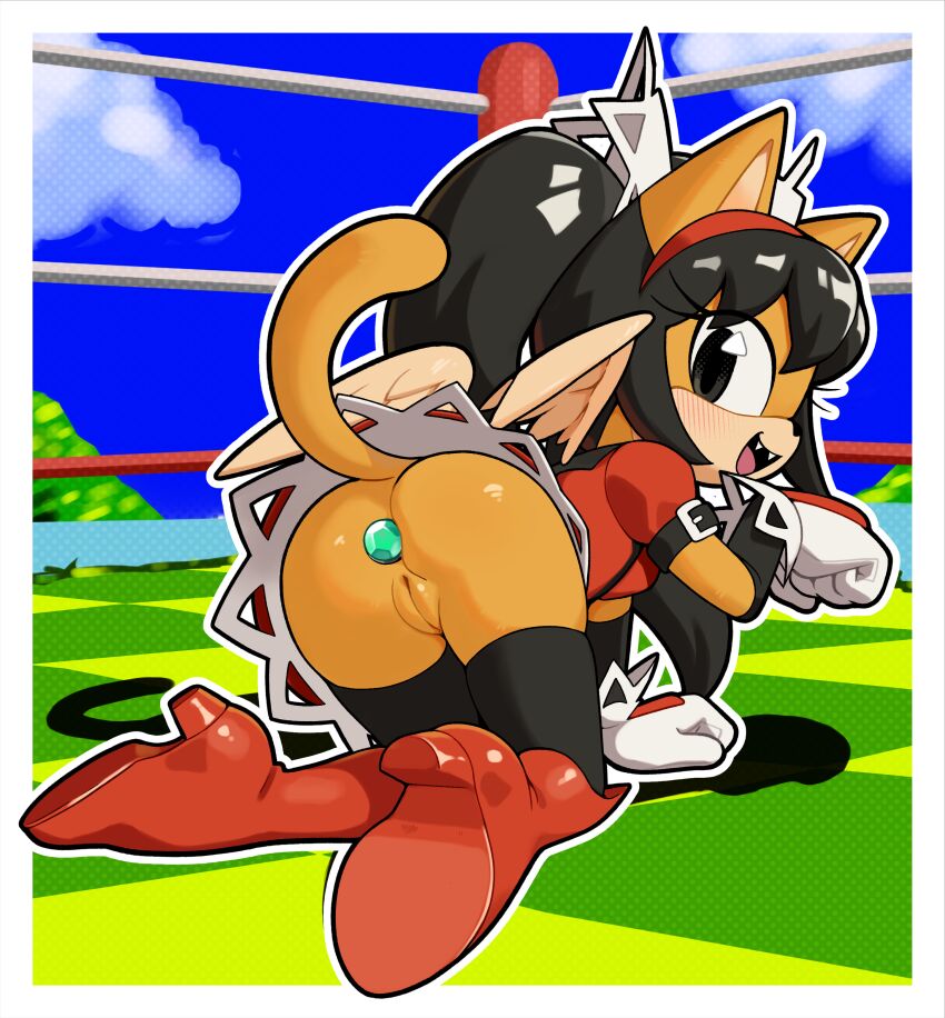 Honey The Cat (Sonic (Series)) Rule 34 Image
