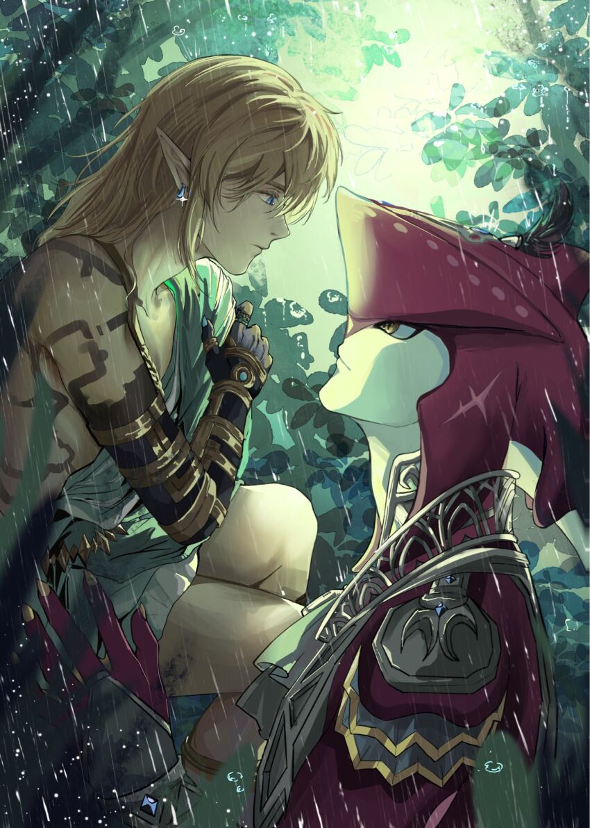 Link (Nintendo) Rule 34 Image