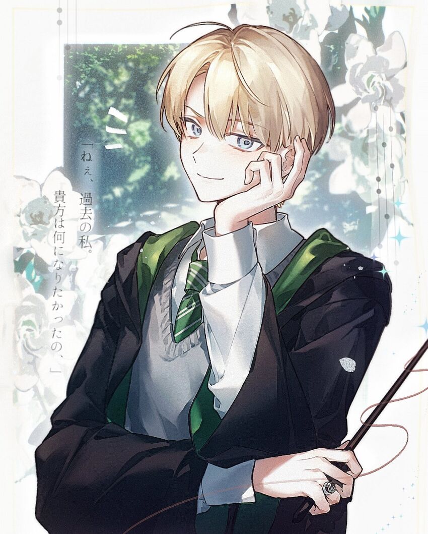Draco Malfoy (Harry Potter (Series)) Rule 34 Image
